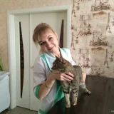 Ветеринарная клиника Добрыня Фото 2 на проекте VetSpravka.ru