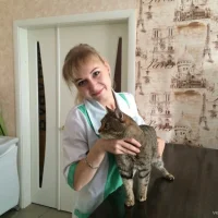 Ветеринарная клиника Добрыня Фото 2 на проекте VetSpravka.ru Ветеринарная клиника Добрыня Фото 2 на проекте VetSpravka.ru
