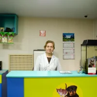 Клиника Миллион друзей Фото 2 на проекте VetSpravka.ru Клиника Миллион друзей Фото 2 на проекте VetSpravka.ru